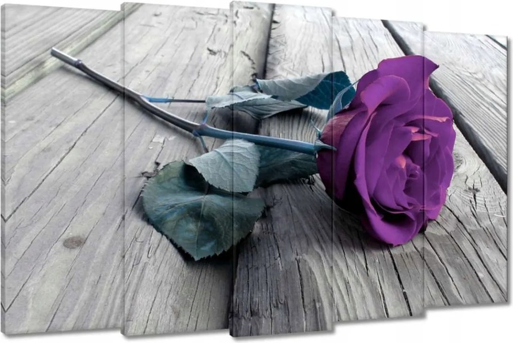 Vászonkép 150x95 Lila rózsa Padló