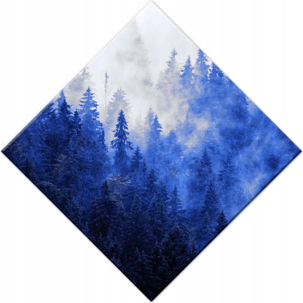 Vászonkép 56x56 Kék táj Hegyek