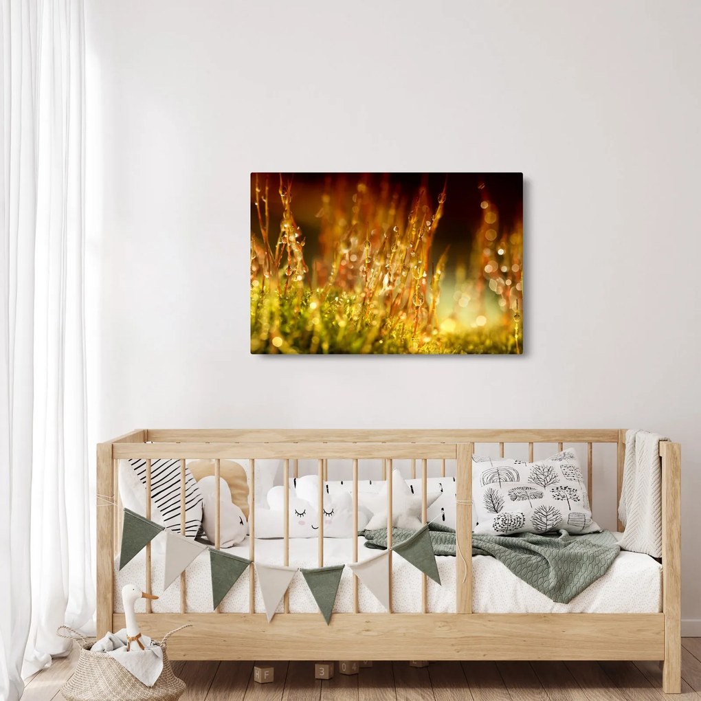 Kép - Harmat részlete (90x60 cm)