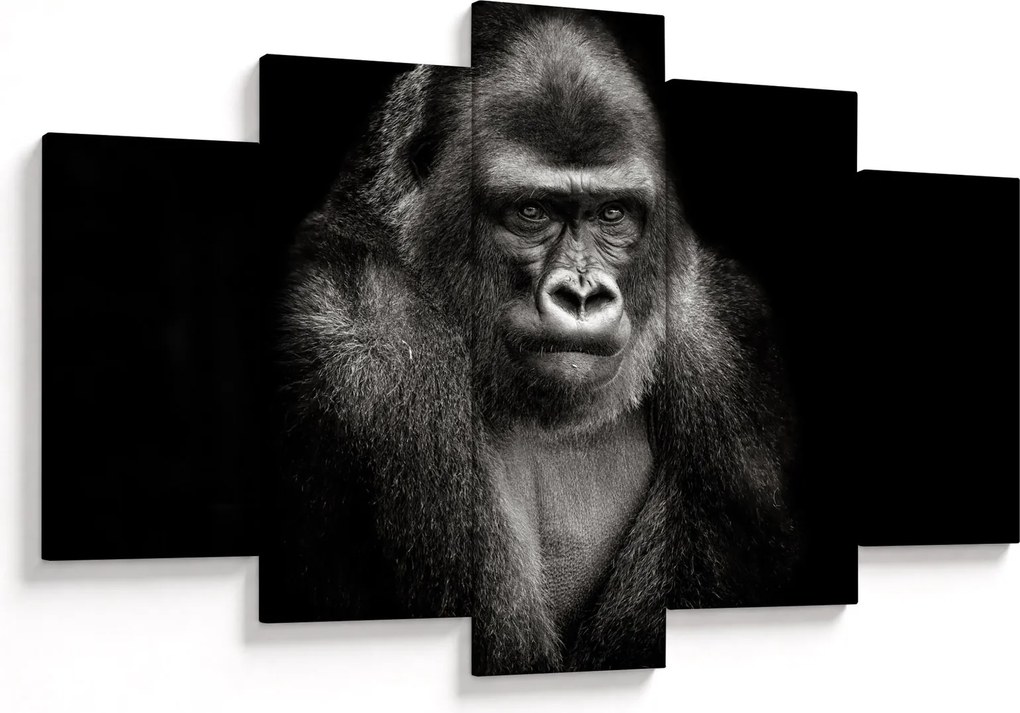 Kép - Gorilla (150x105 cm)
