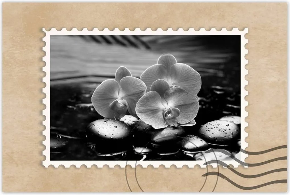 Poszterek 90x60 Orchideák a köveken