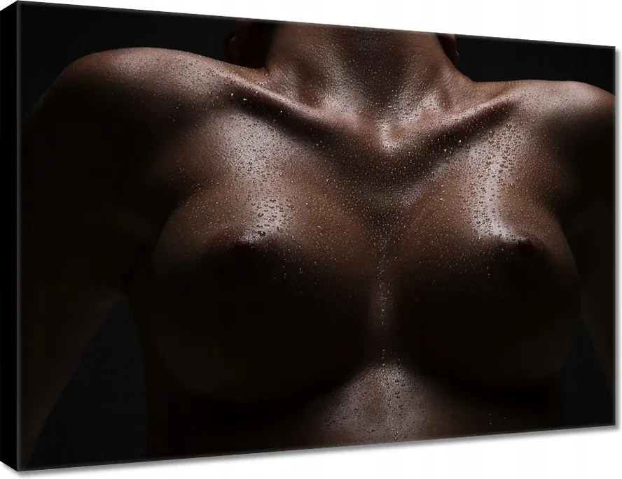 Vászonkép 70x50 Feszes mellek Akt