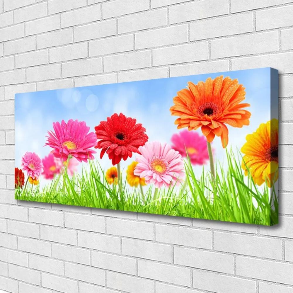 Vászonkép nyomtatás Virág Grass Plant 125x50 cm