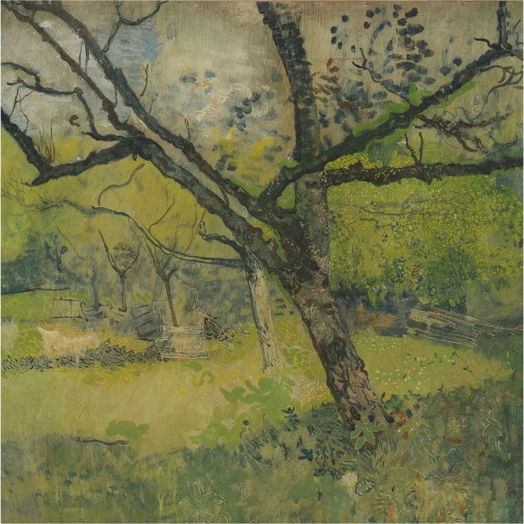 Stílusos Dekoratív Fotótapéta Flizelin Zöld tájkép 250x250 Ragasztó