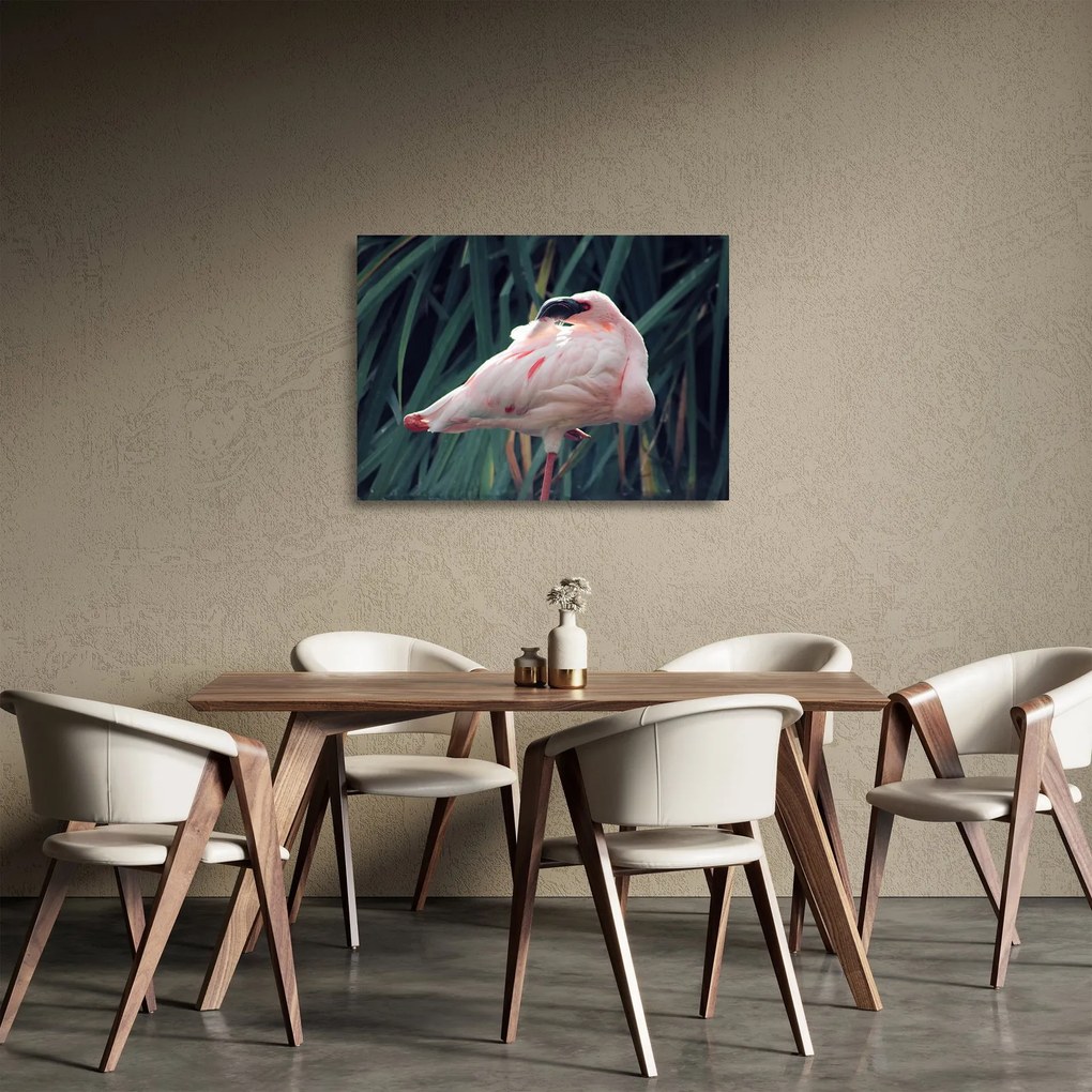 Kép - Flamingó (üvegen) (70x50 cm)