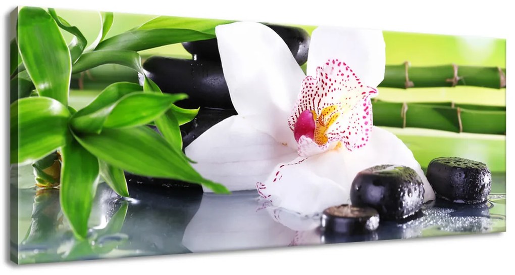 Gario Vászonkép Fehér orchidea és kövek Méret: 100 x 70 cm
