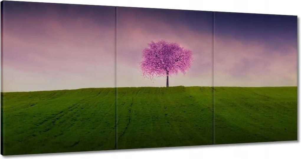 Vászonkép 180x90 Malackafa