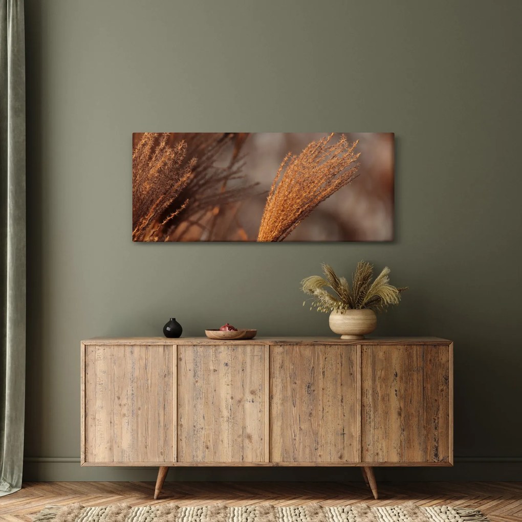Kép - Cortaderia (120x50 cm)