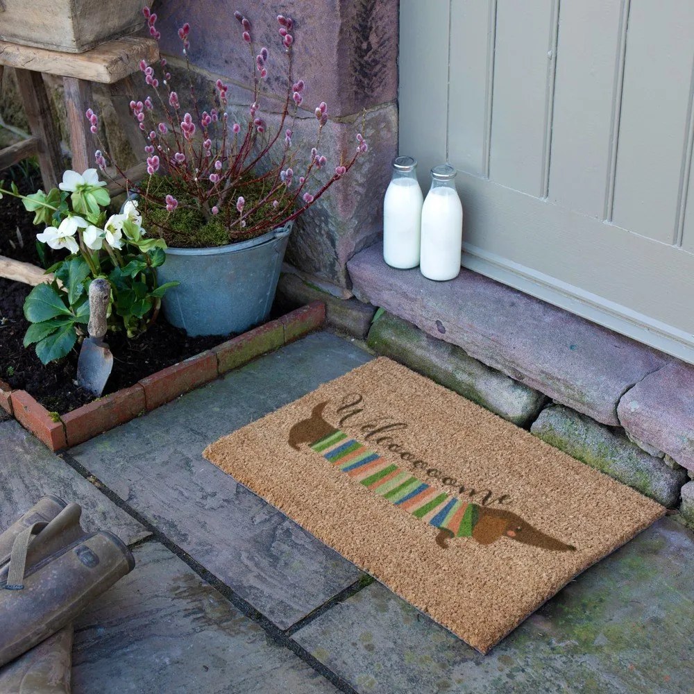 Kókuszrost lábtörlő 40x60 cm Welcome Sausage Dog – Artsy Doormats