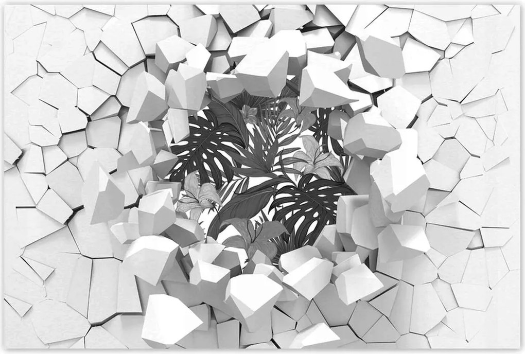 Poszterek 120x80 Fekete-fehér monstera