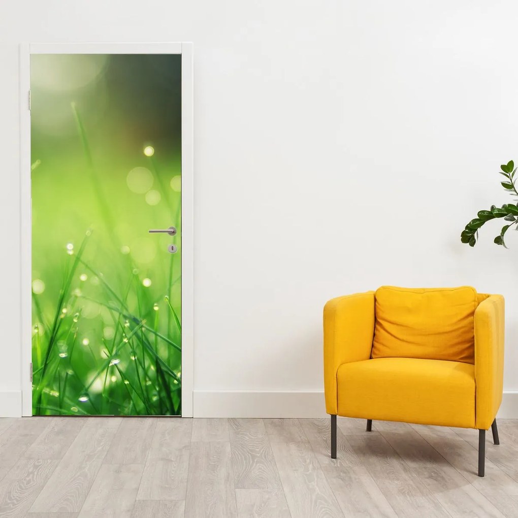 Fotótapéta ajtóra - Harmat a füvön (95x205cm)