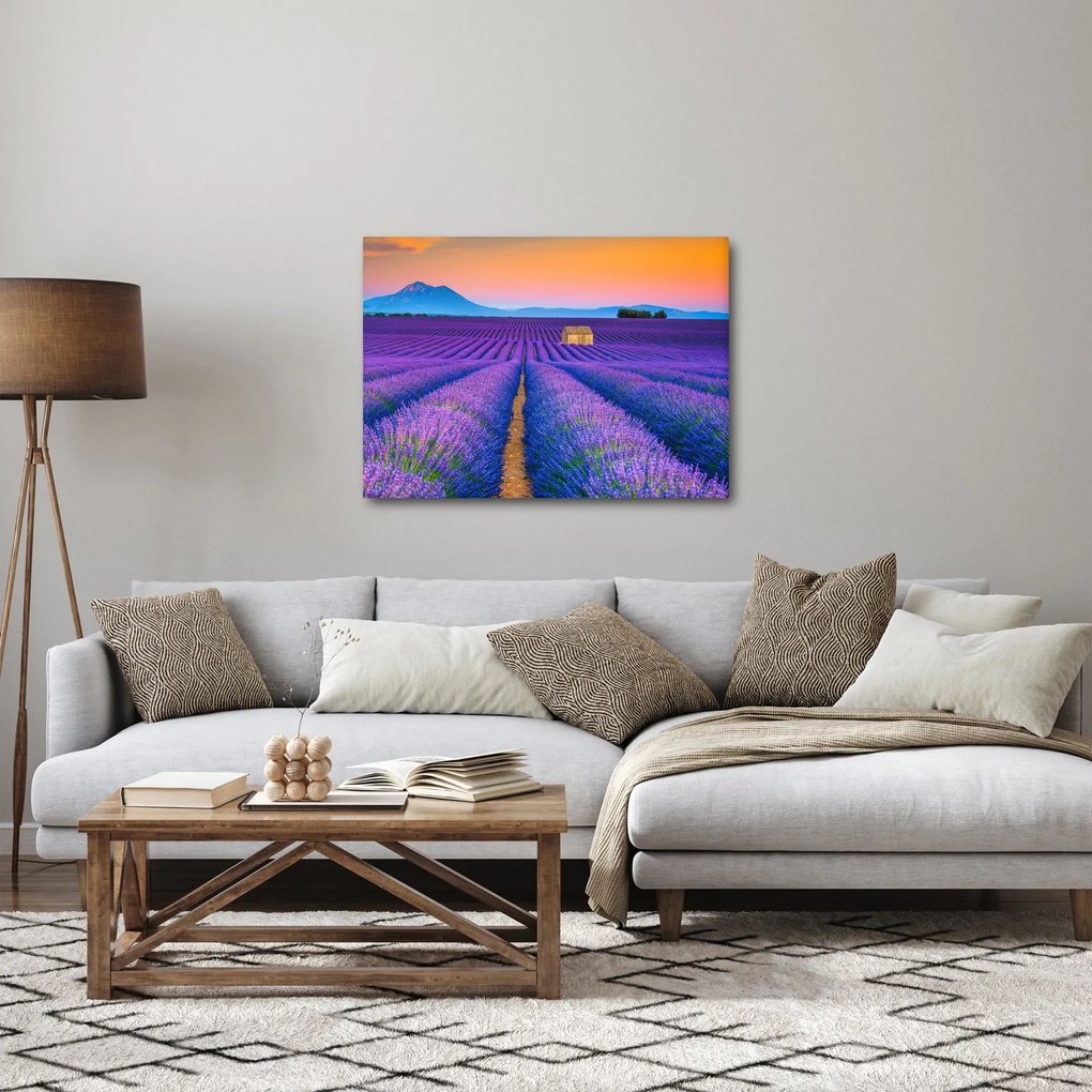 Kép - Levendula mező (70x50 cm)