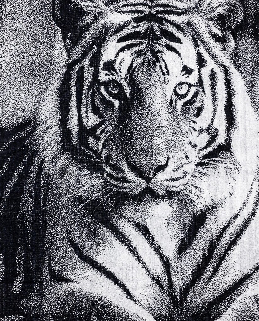 ANIMAL Tigris Strandtörölköző 165x90cm
