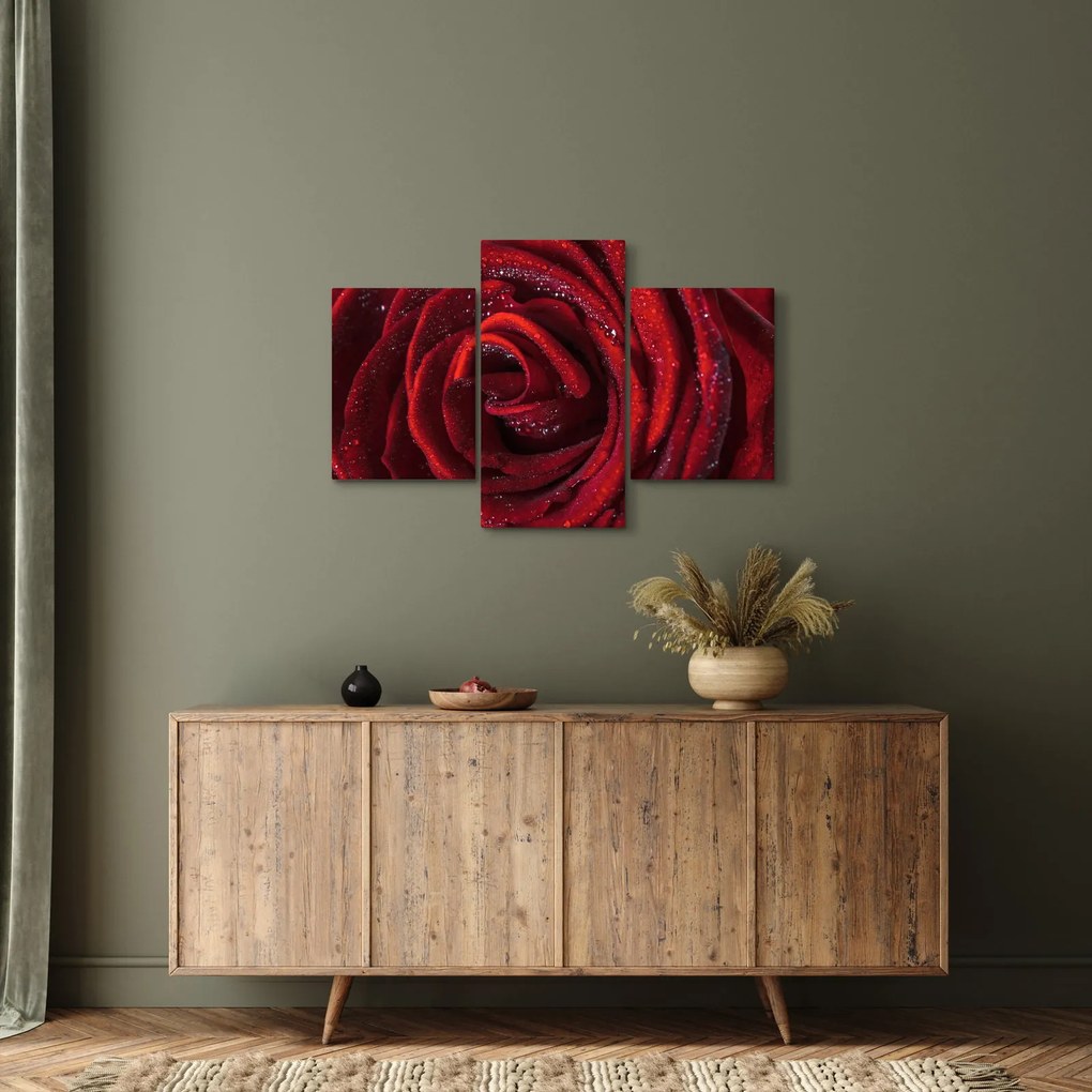 Kép - Vörös rózsa harmatcseppekkel (90x60 cm)