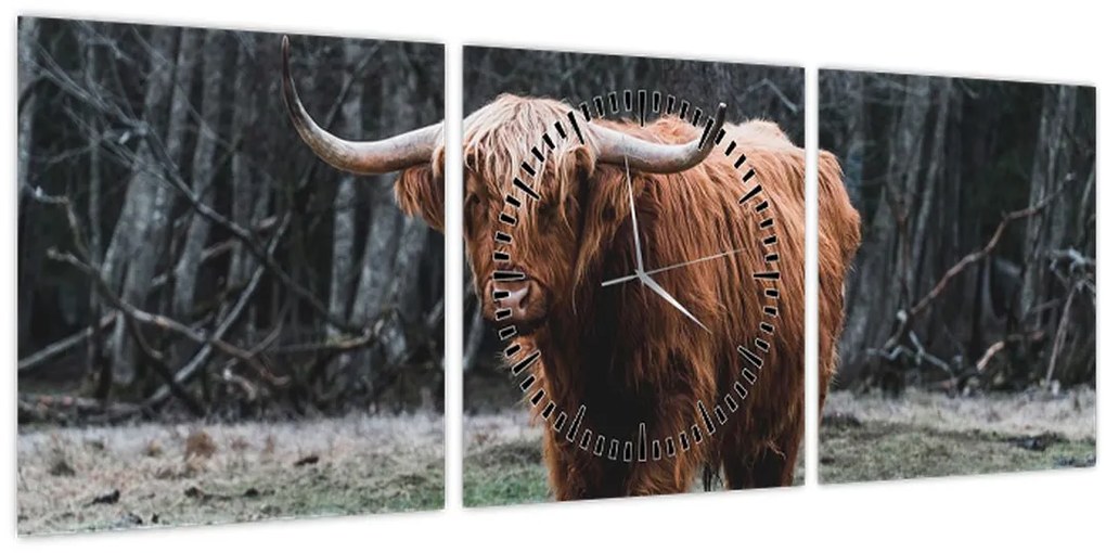 Kép - Skót tehén 2 (órával) (90x30 cm)
