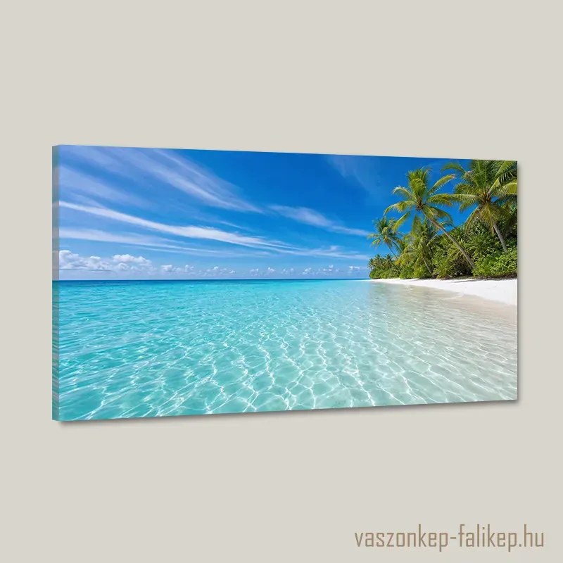 Trópusi tengerpart pálmafákkal – prémium falikép 60x34 cm