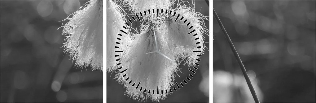 Kép - Cottongrass (órával) (90x30 cm)