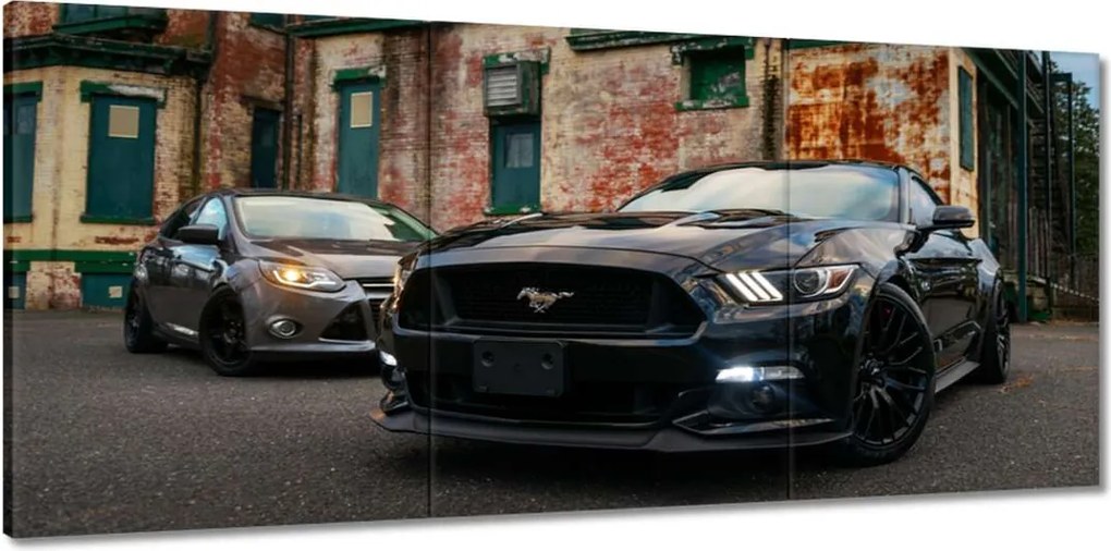 Vászonkép 150x70 Fekete amerikai szörny