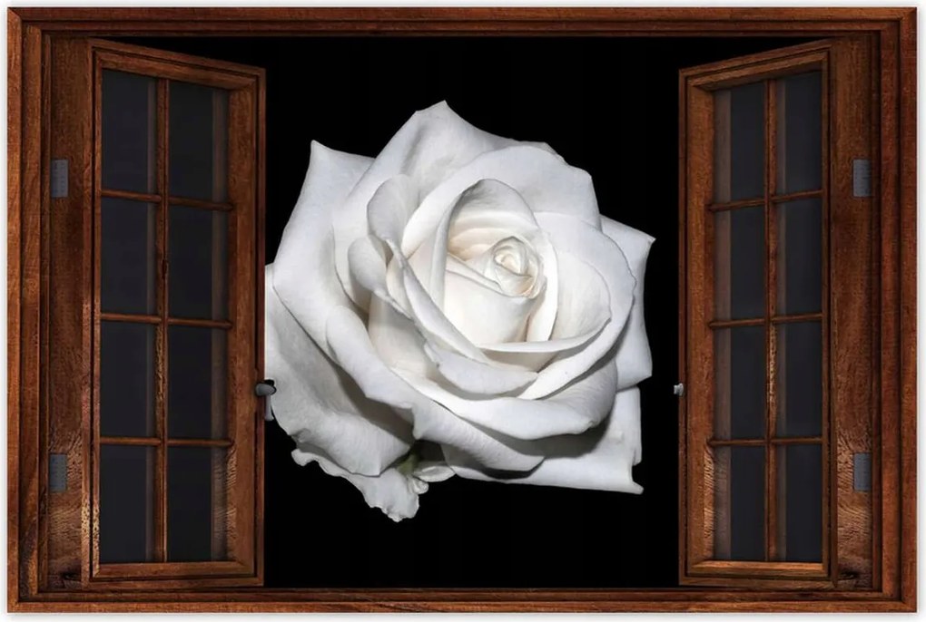 Poszterek 60x40 Rózsa Virág Virágok Rózsa