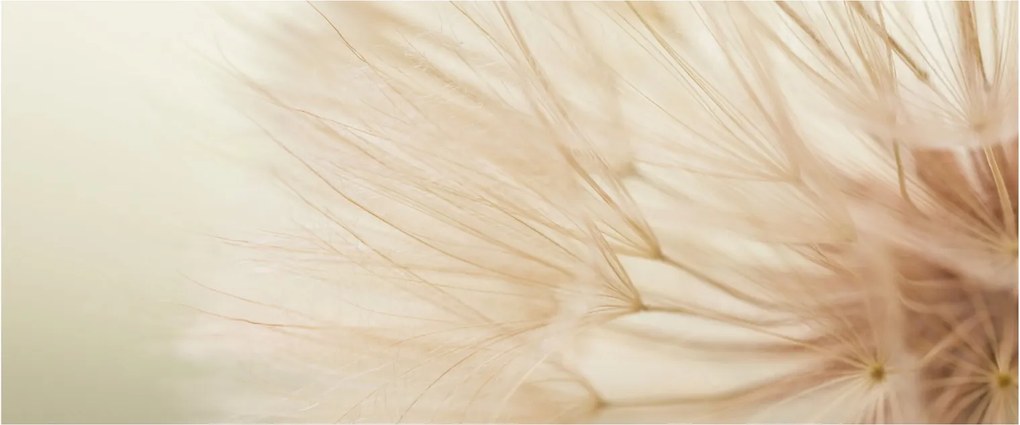 Kép - Virág részletek (120x50 cm)