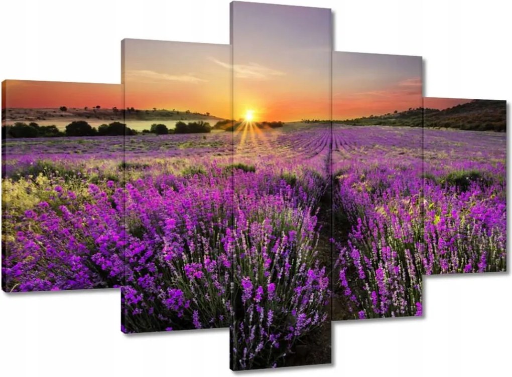 Festmények 150x105 Levendula rét