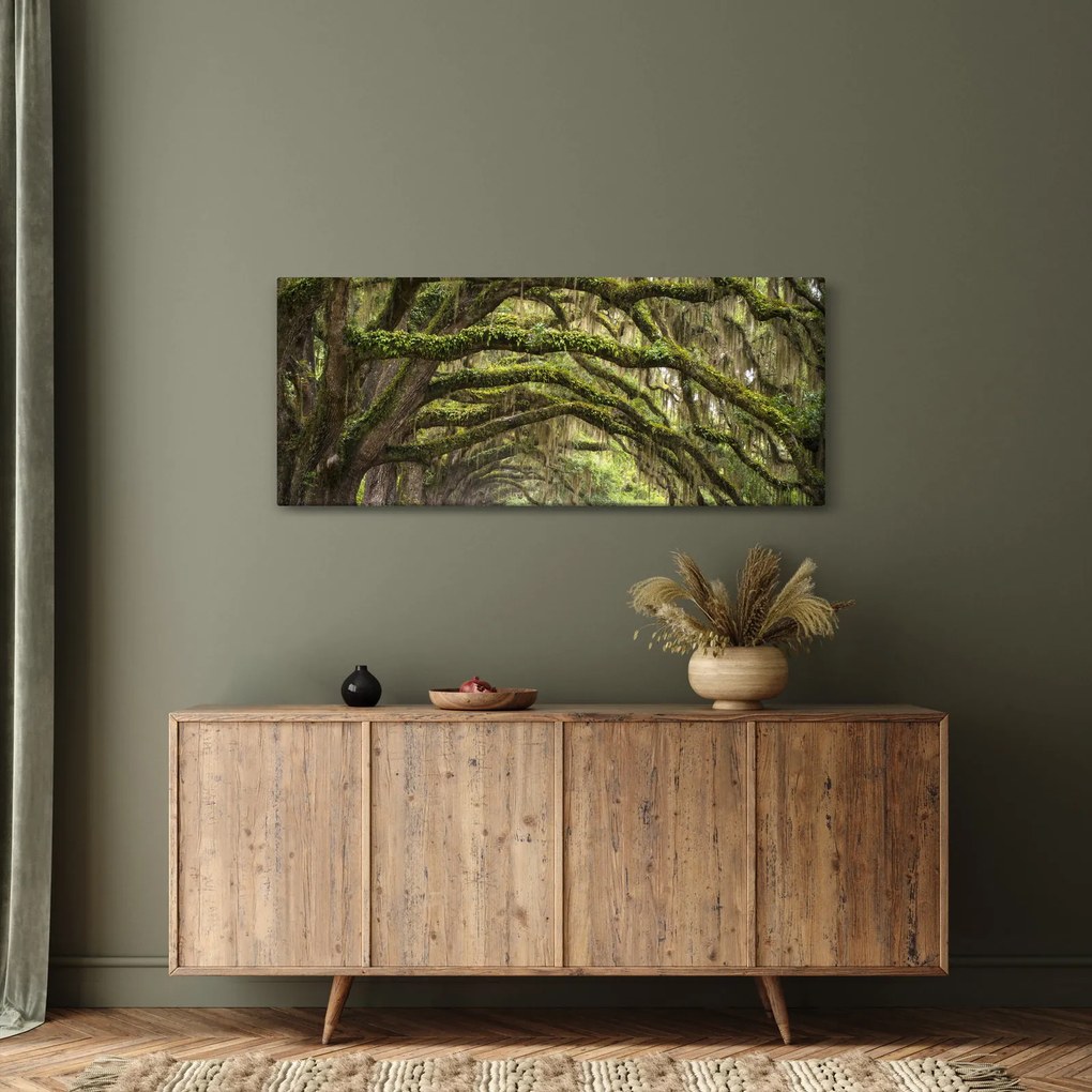 Kép - Oaks Avenue, Charleston, Dél-Karolina, Egyesült Államok (120x50 cm)