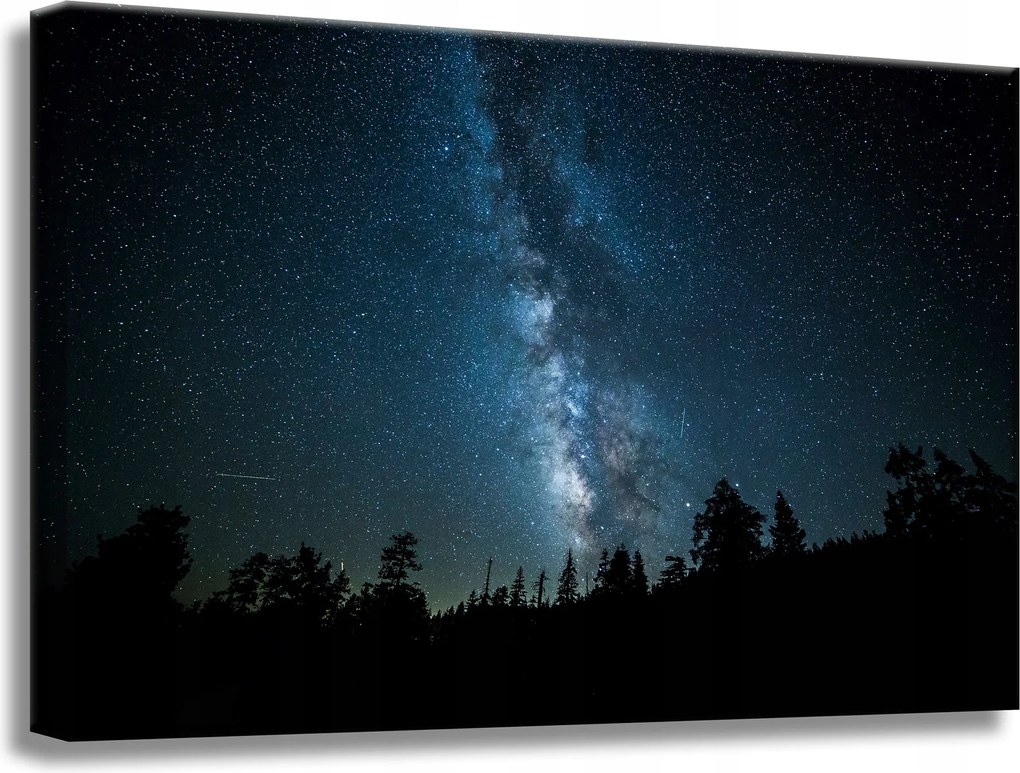 Vászonkép Kozmosz Éjszaka Erdő Köd Természet Csillagászat 60x40