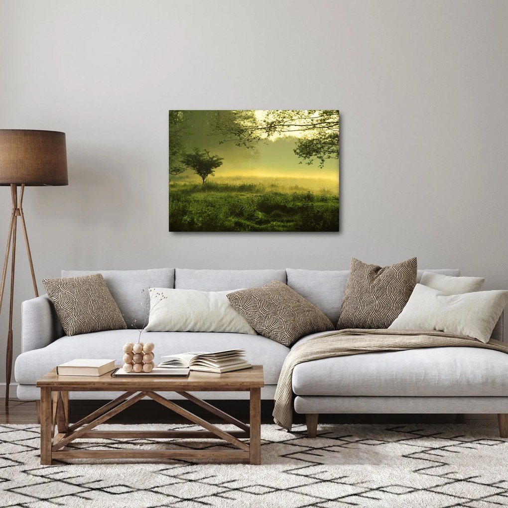 Kép - Ébredő erdő (70x50 cm)