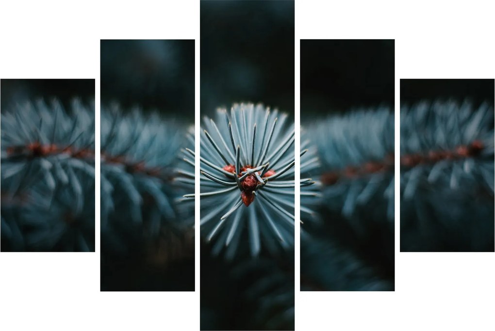 Egy tűlevelű fa gallyának képe (150x105 cm)