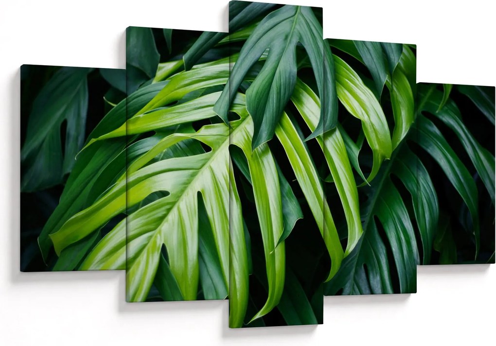 Kép - trópusi levelek (150x105 cm)