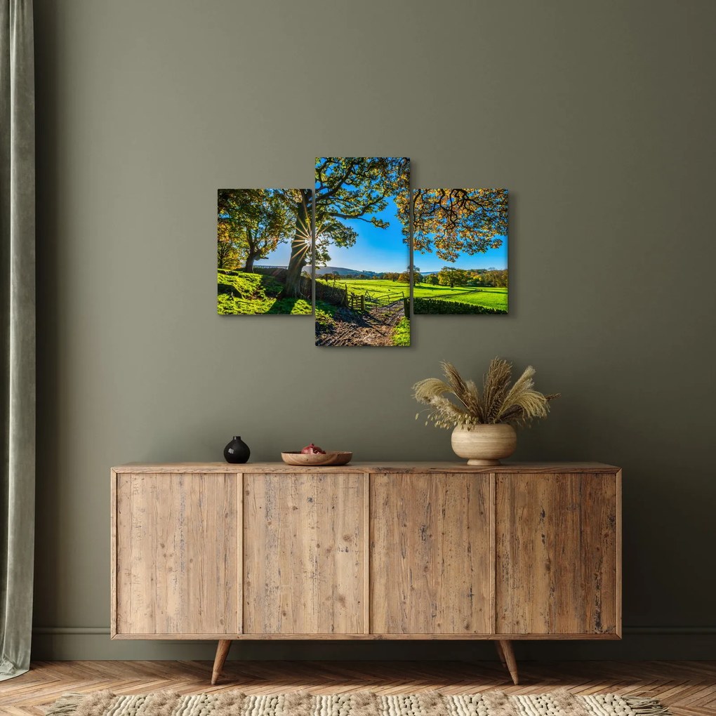 Kép - mező, kilátás (90x60 cm)