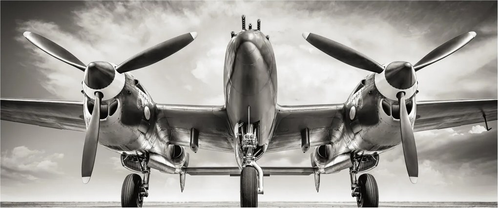 Kép - Warbird (120x50 cm)