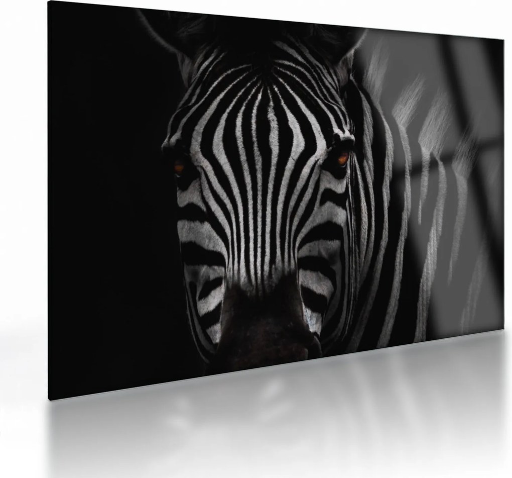Zebra képe (üvegen) (70x50 cm)