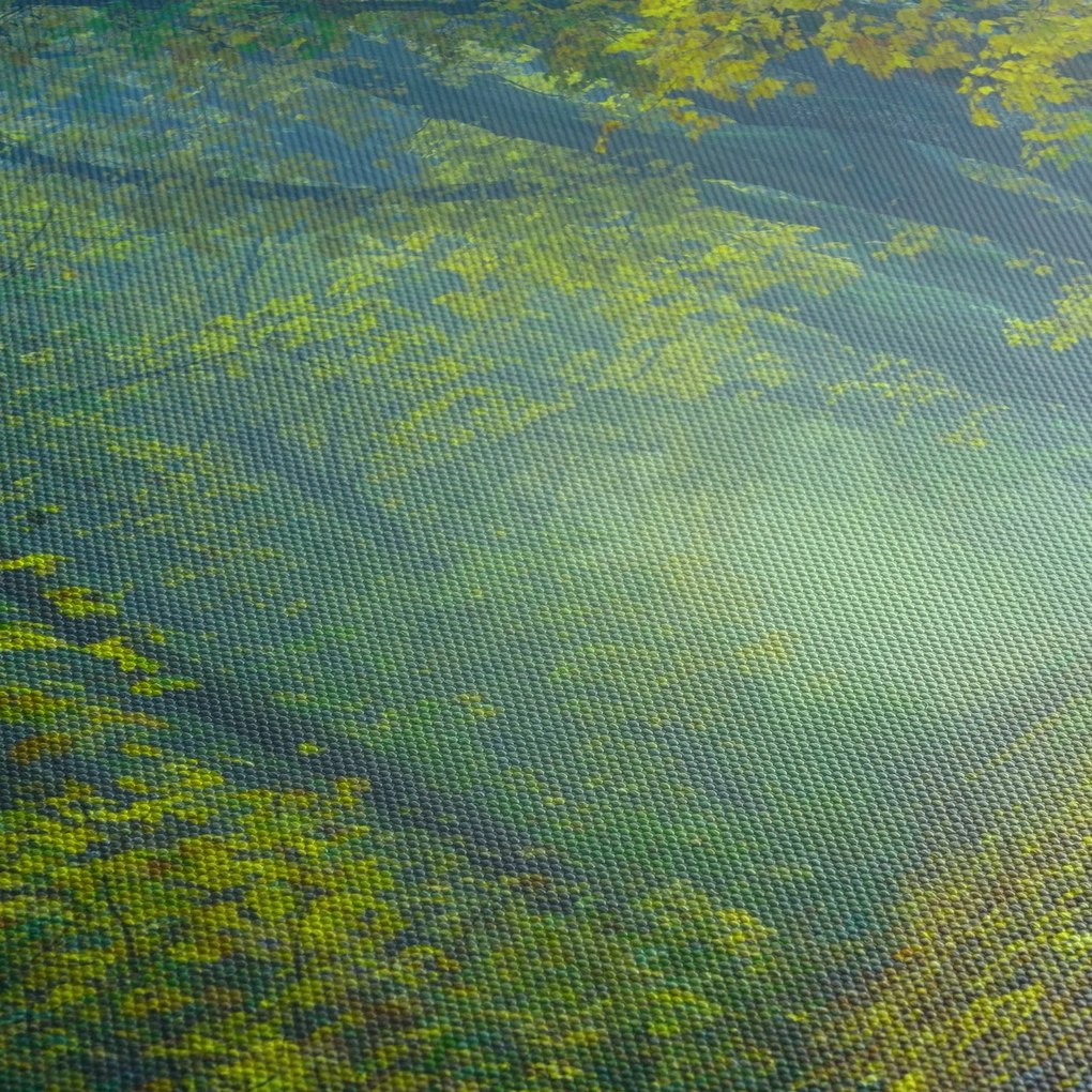 Fákkal szegélyezett út képe (90x60 cm)