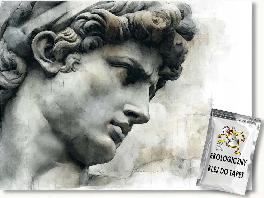 Fotótapéta Flizelina Szobor Mihály Angyal Dávid Szobor Márvány 350x250 ragasztó