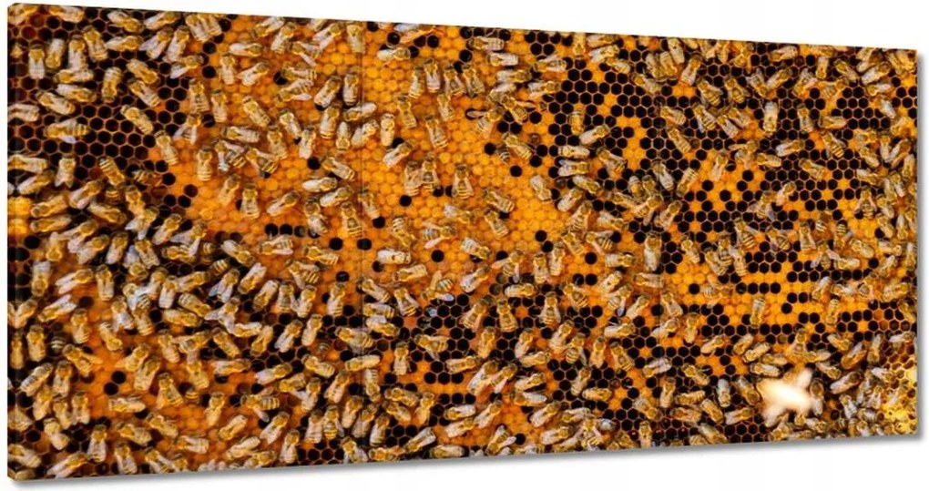Vászonkép 180x90 Édes méz szelet