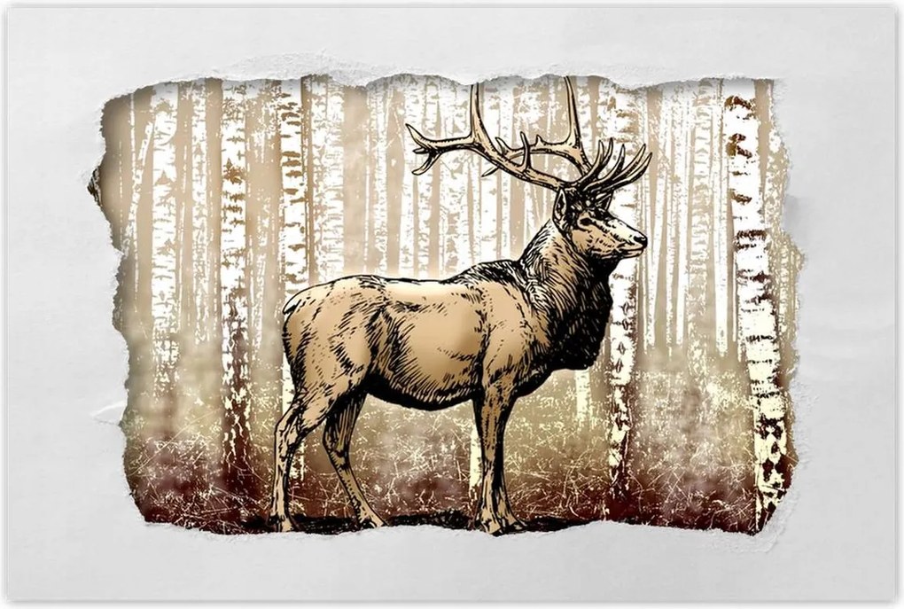 Poszterek 120x80 Szarvas a nyírfaerdőben