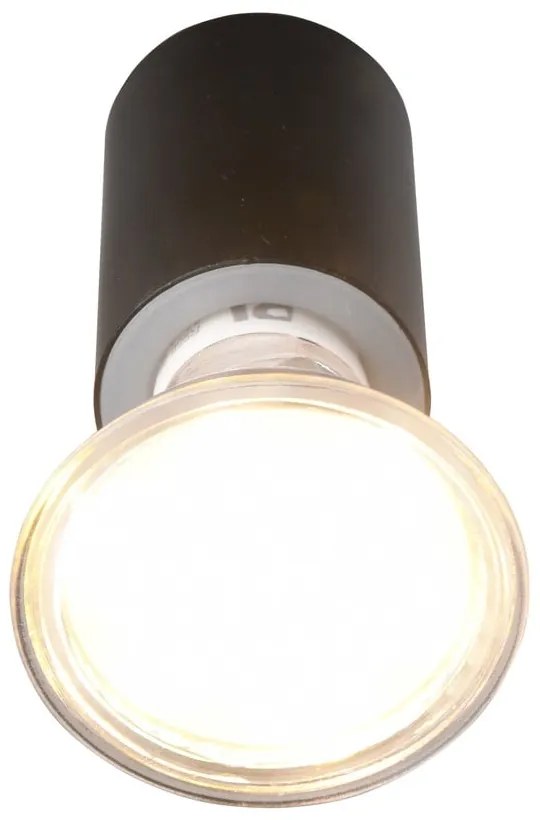 Matt fekete fali lámpa (hosszúság 10 cm) Lorenzo – Trio