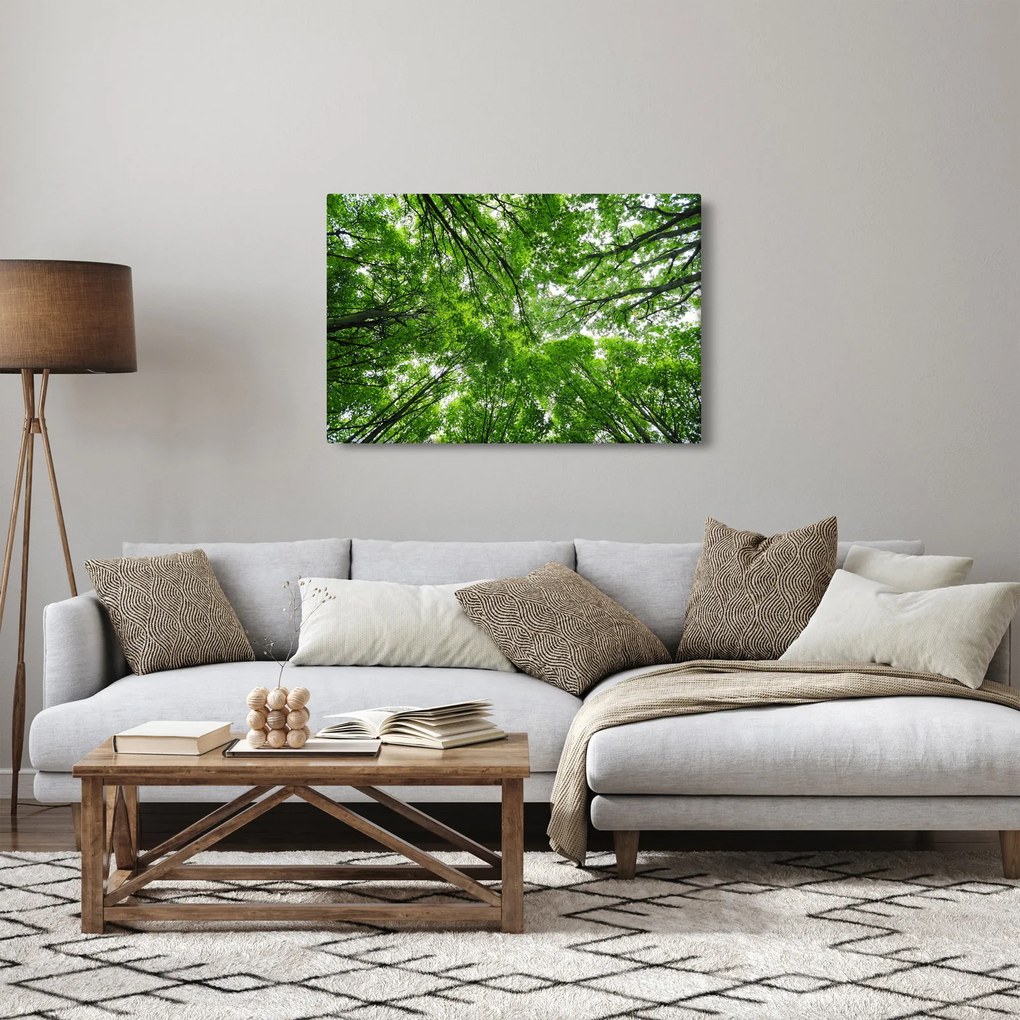 Kép - Kilátás a fák tetejére (90x60 cm)