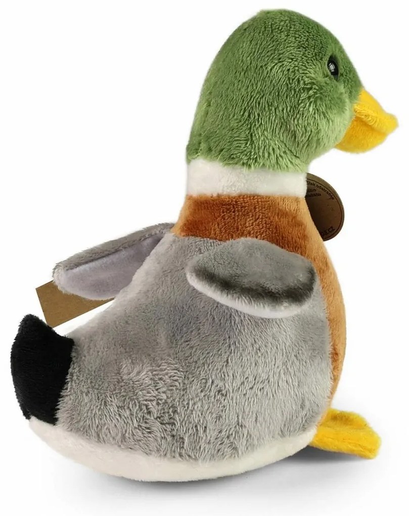 Rappa Plüss vadkacsa 21 cm ECO-FRIENDLY