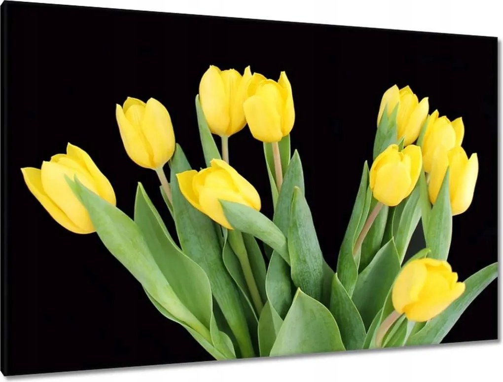 Vászonkép 120x80 Sárga tulipánok