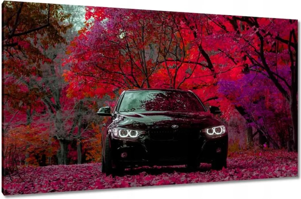Vászonkép 120x70 Fekete Bmw Ősz