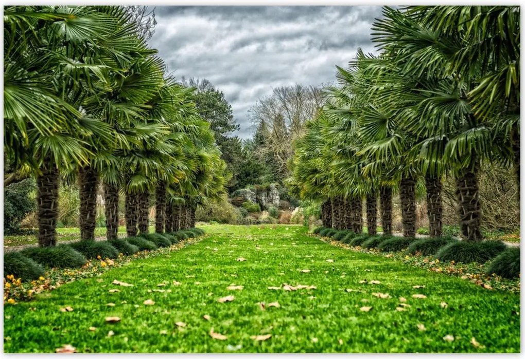 Poszterek 185x125 Tájkép