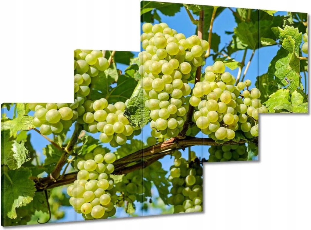 Vászonkép 150x105 Zöld szőlő