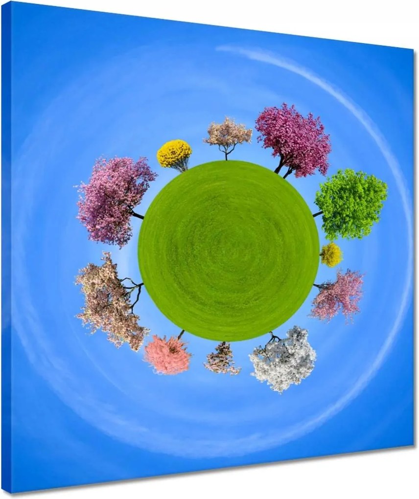 Vászonkép 40x40 Fa Fák Kilátás