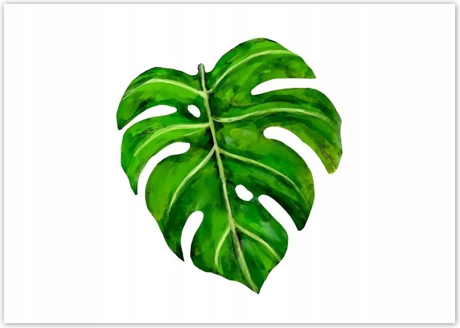 Poszterek A4 Szint Modern levél kép