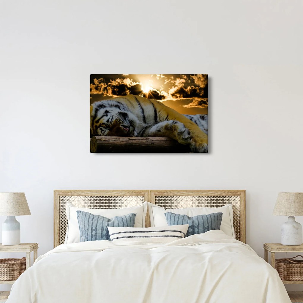 Alvó tigris képe (90x60 cm)
