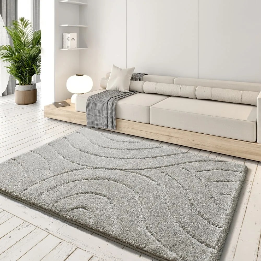 Világosszürke szőnyeg 160x230 cm Molier – Universal
