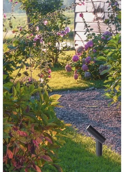 Lucide 27894/05/29 -LED Kültéri lámpa TATUM LED/4,5W/230V IP65 39,5 cm antracit