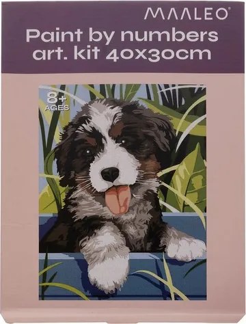 Festés szám szerint 40x30cm - Maaleo 22780 kutya